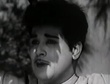 Iravum_varum_pagalum_varum