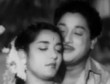 paavaadai_thaavaniyil