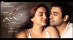 saleem